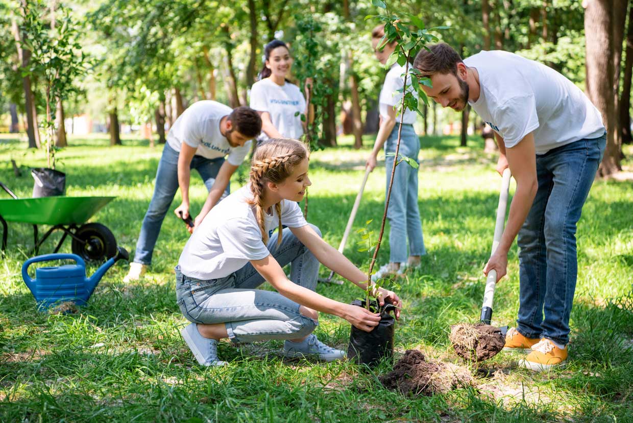 CSR tree planting