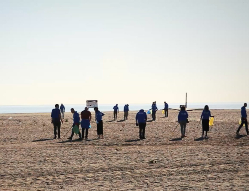 Trash Challenge: a sustainable beach cleaning challenge in Malaga